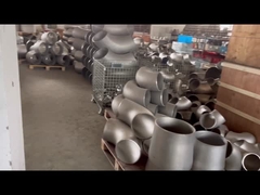 Sch160 Gegalvaniseerd het Verminderen van de Naadloze buismontage van de T-stukStuiklas